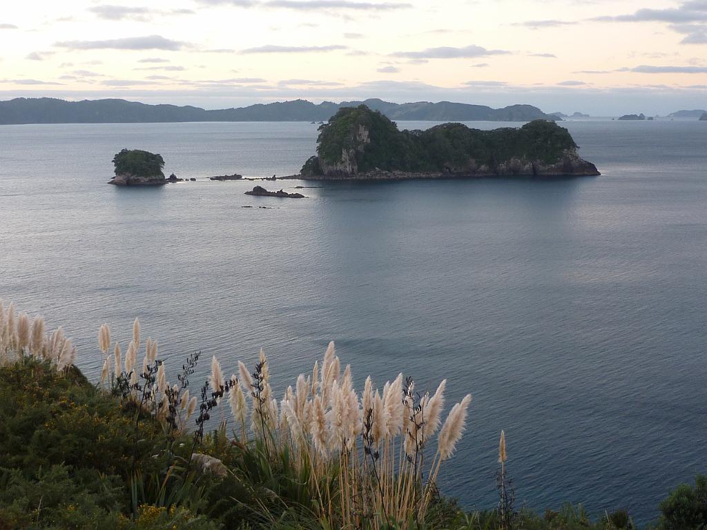 New_Zealand (1160).JPG